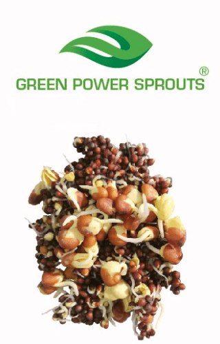 Green Power Sprouts